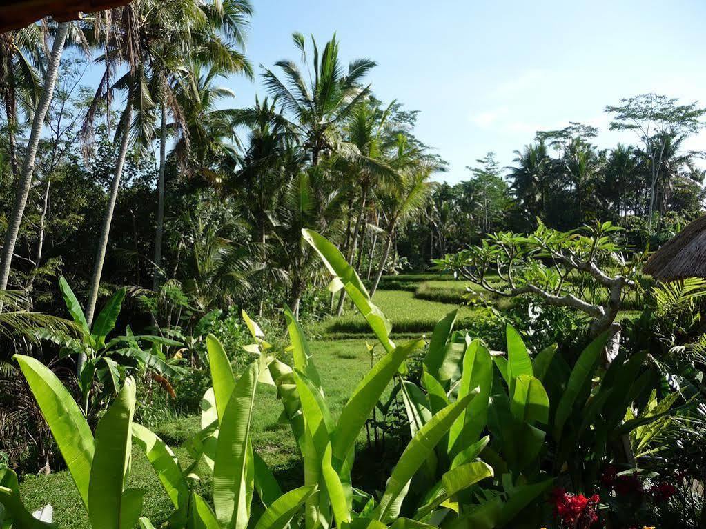 Umajati Retreat Villa อูบุด ภายนอก รูปภาพ