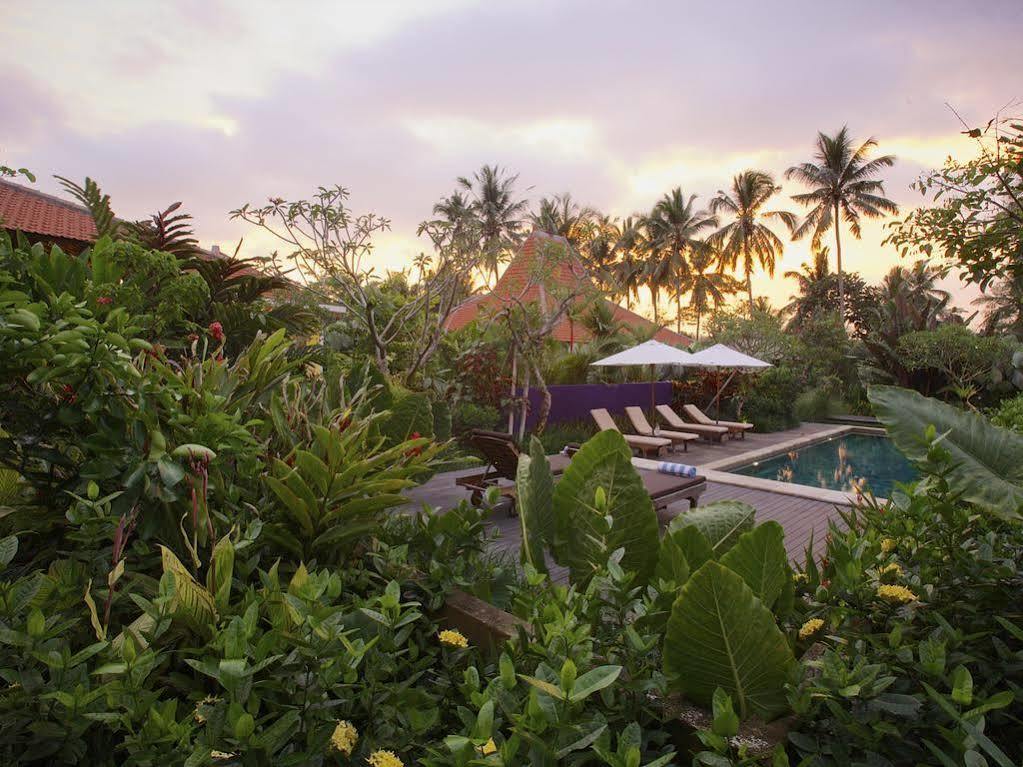 Umajati Retreat Villa อูบุด ภายนอก รูปภาพ