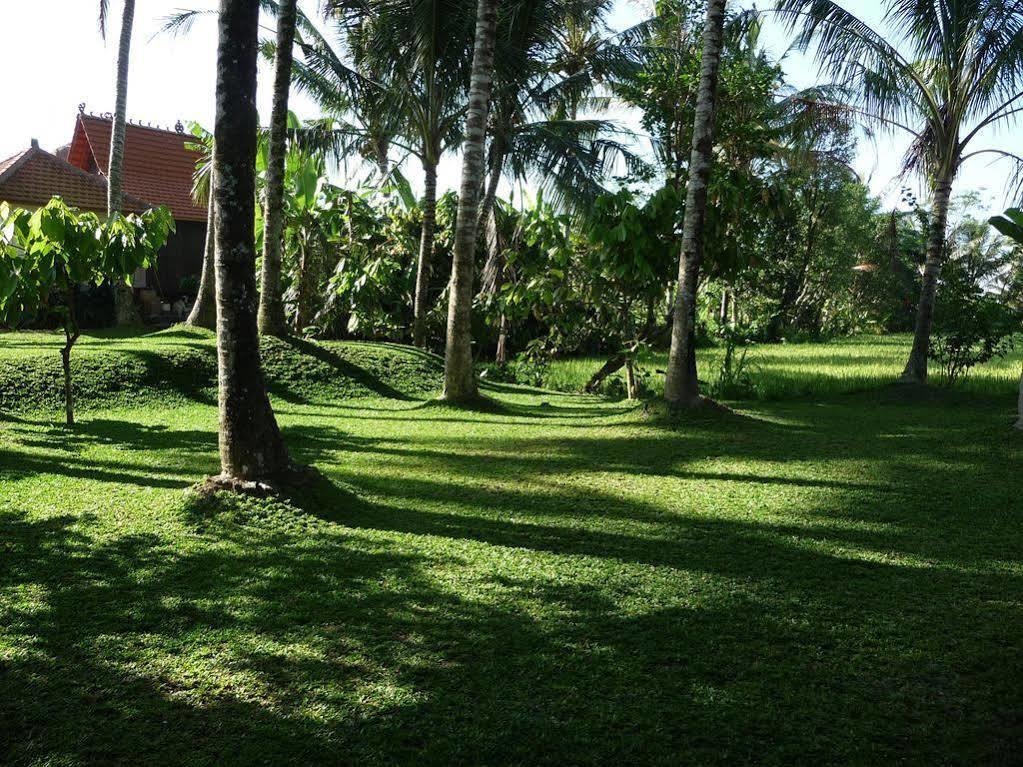 Umajati Retreat Villa อูบุด ภายนอก รูปภาพ